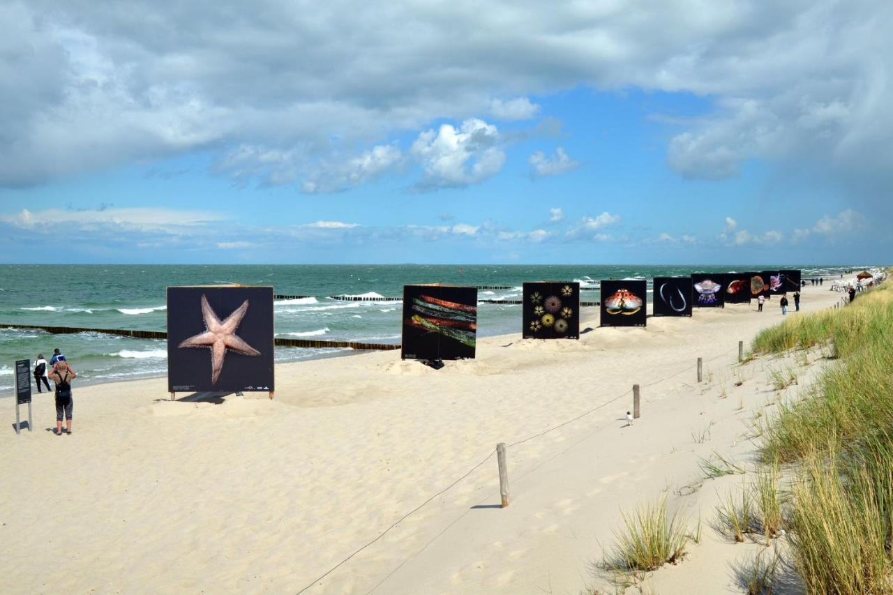 Seestr_54 Nr_304 Zingst Eksteriør billede