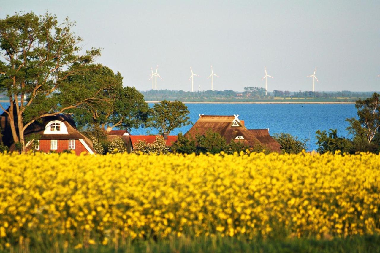 Seestr_54 Nr_304 Zingst Eksteriør billede